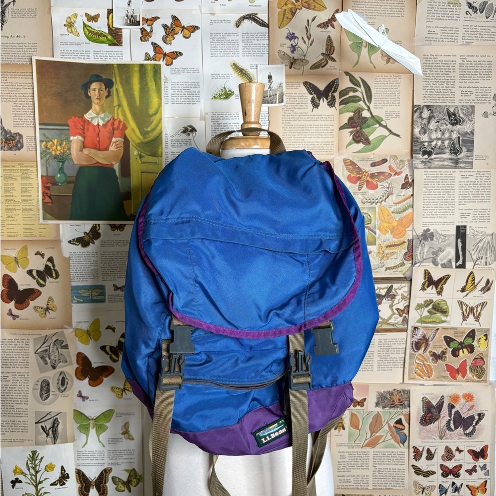 L.L. Bean Blue and Purple Backpack vintage